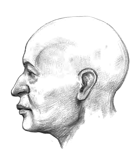 Портрет Иоанникия, реконструированный антропологами по найденному черепу